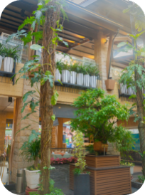 Hương Cau Restaurant
