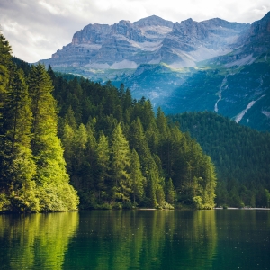 lorem-ipsum-has-been-the-industry039s-standardds-1-1